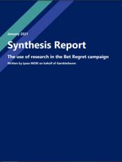 Cover of "Bet Regret Synthesis Report"